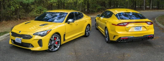 Dual Stingers lr.webp