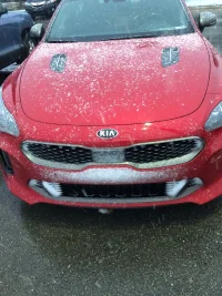 stgrfrontsnow.webp