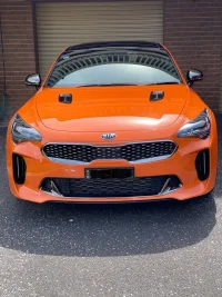 Stinger1.webp
