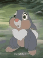 tenor-2.gif