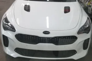 20190626_181911.webp 20190626_181911.webp