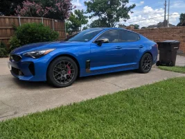 stinger_sideshot_IMG_20190708_160222.webp