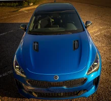 Stinger-11.webp