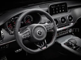 d-cut-steering-wheel-1.webp