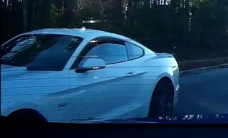 Mustang rear.webp