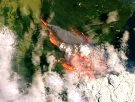 Copernicus Sentinel satellite imagery 12:31:2019.webp