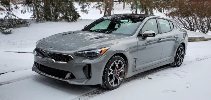 SnowStinger.webp