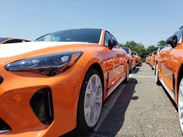 stinger oranges.webp