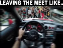 leaving-the-meet-like-mustang-drivers-crowds-best-50678648.webp