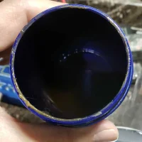 stinger-catch-caught.webp