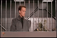 tenor.gif