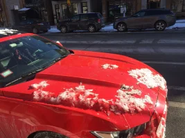 IMG_1620.webp IMG_1620.webp