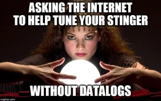 stinger_tune.webp