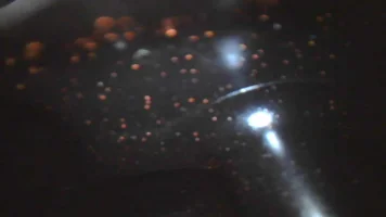 20200229172800.webp