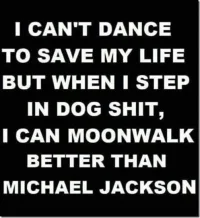 Moonwalk[2].webp