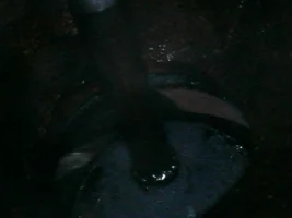 valve.webp