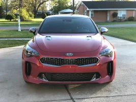Stinger Front.webp