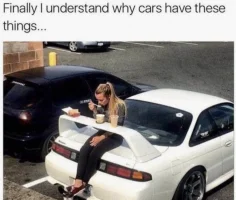 Screen Shot 2020-03-22 at 10.29.16 AM.webp