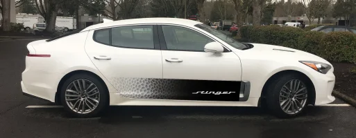 Kia Stinger honeycomb stripe.webp