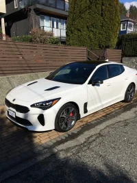 waxed2.webp
