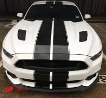 stripes.webp