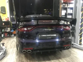 RSW gt wing 1.webp