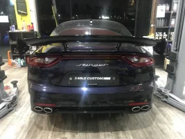 RSW gt wing 2.webp