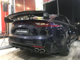RSW gt wing 11.webp