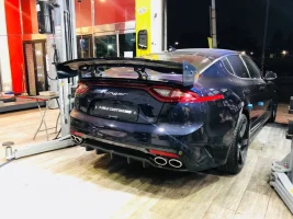RSW gt wing 16.webp