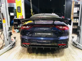 RSW gt wing 17.webp