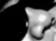 495ba1af-de4c-4528-a608-3b689548fe44~4.webp