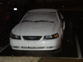 Mar 08 AL Snow 002.webp