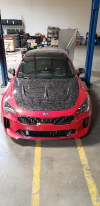 ARK Forged CF Hood 2.webp