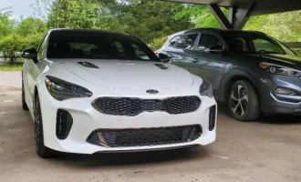 mystinger.webp