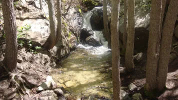 DSC09080.webp