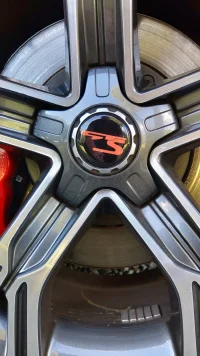 stinger wheel.webp