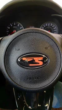 stinger steering wheel.webp