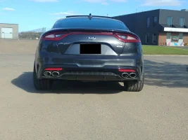 rear.webp