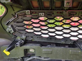 IMG_20200419_144740712_HDR.webp