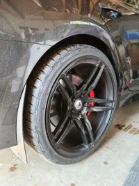rear.webp