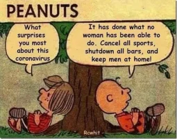 unknown_26.webp unknown_26.webp