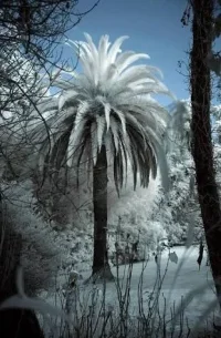 F37CC033-F031-4741-A594-298E204D1778.webp