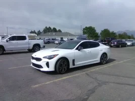 stinger 39 glenmoor.webp