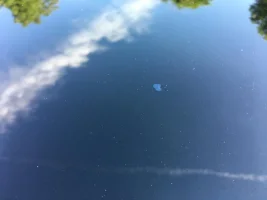 sunroof.webp sunroof.webp