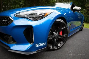 stinger_left_front_sm.webp
