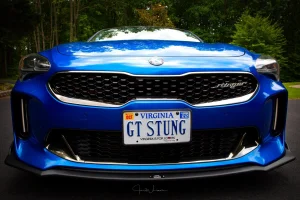 stinger_direct_front_sm.webp