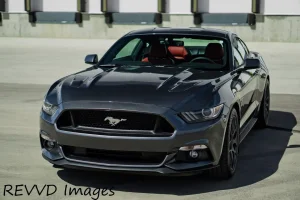 Mustang.webp