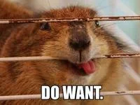 do_want.webp