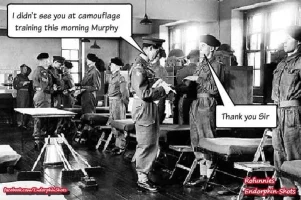 CAMOUFLAGE TRAINING.webp