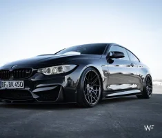 wf cf2.ff.webp